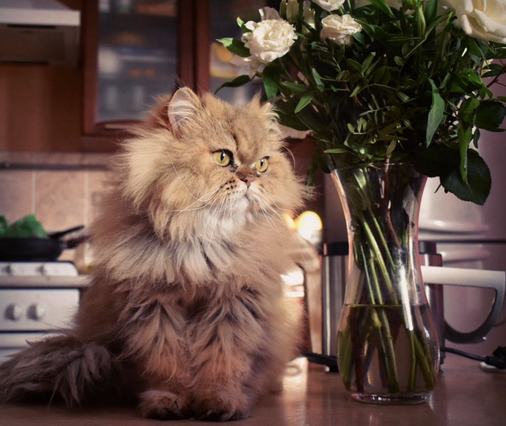 Photograph by Kira Bahvalova