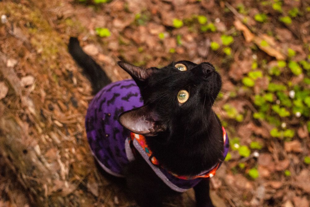 Photograph by Ангелина