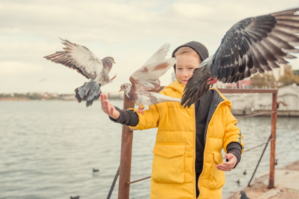 Photograph by Антонина Кузнецова