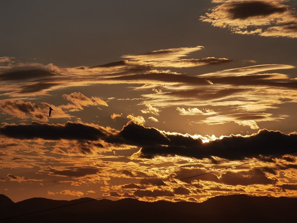 Photograph by Анастасия Терехова