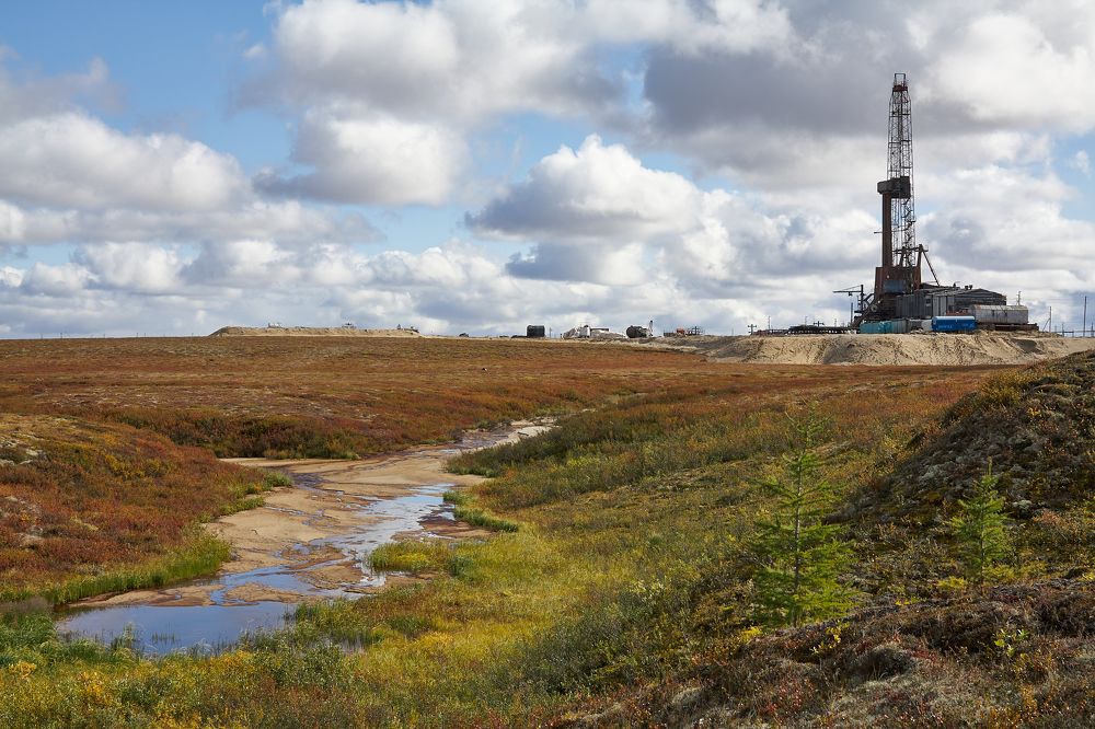 Photograph by Алексей Курочкин