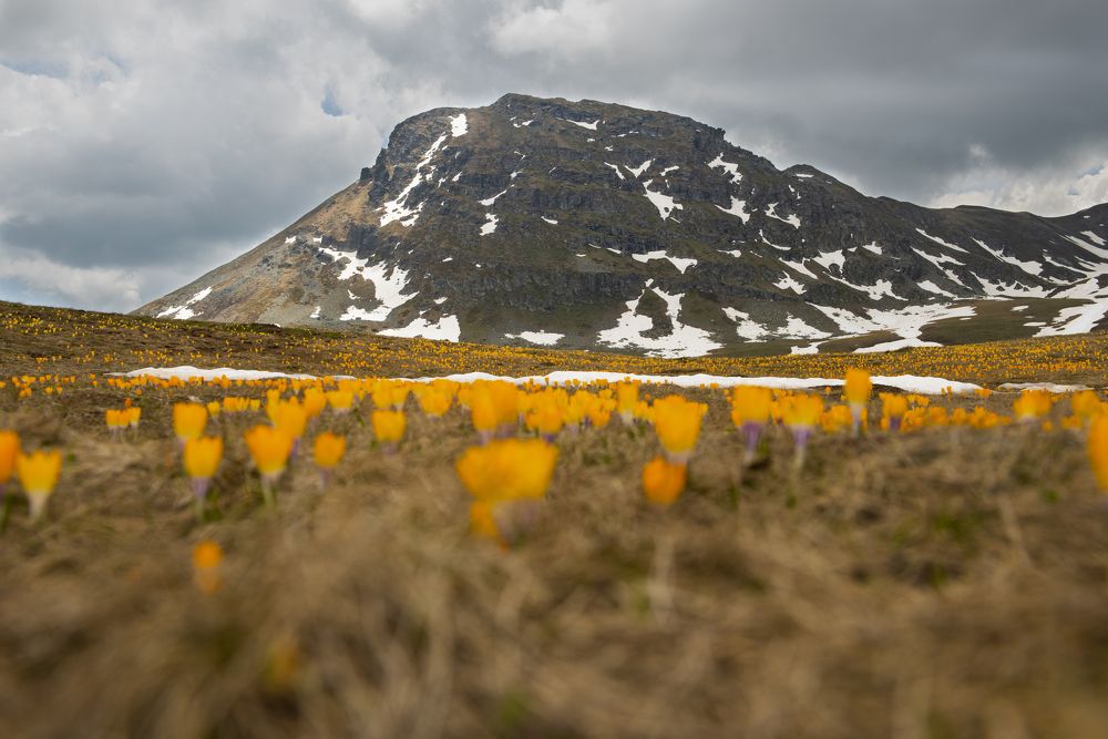 Photograph by HB Photography