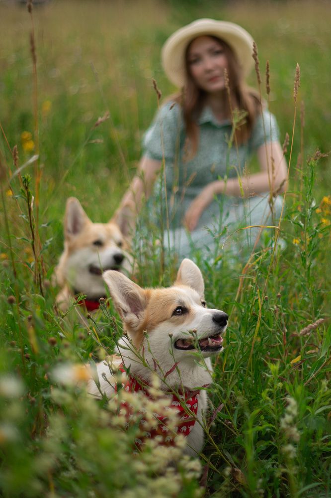 Photograph by Виталий Касьянов