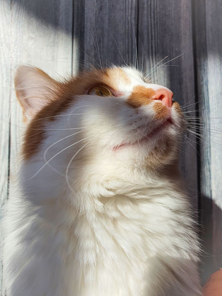 Photograph by Ангелина