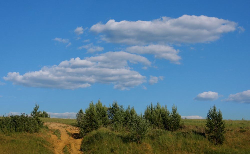 Облака уплывают в даль...