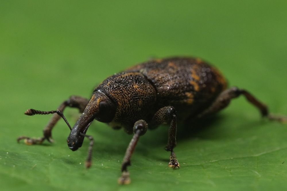 Photograph by Михаил Косяк