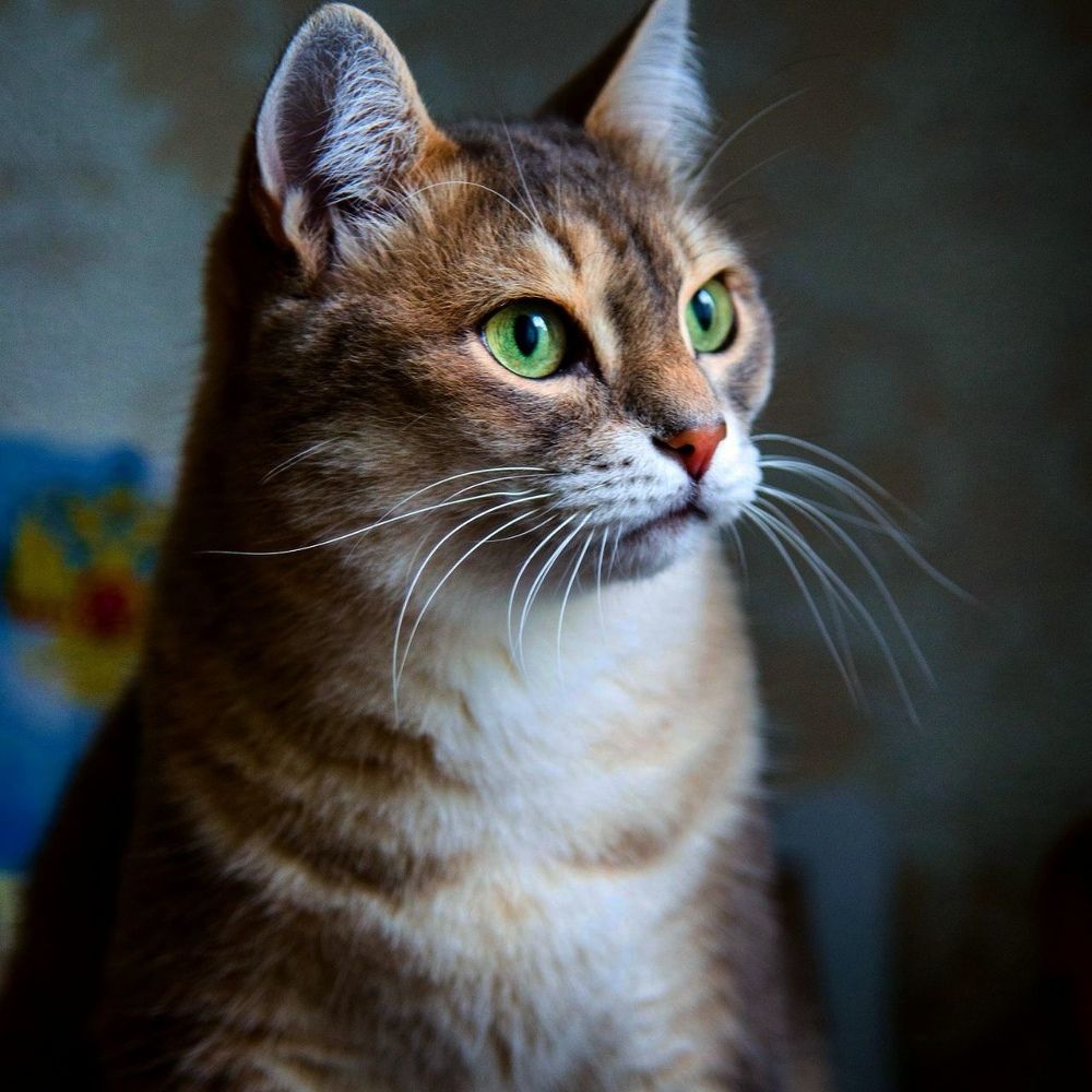 Photograph by Александр Гоман