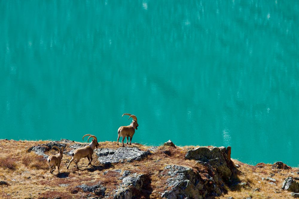 Photograph by Мазурин Евгений