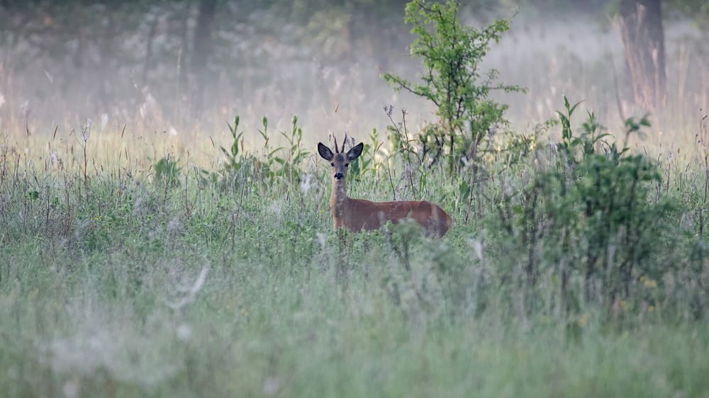 Photograph by Мазурин Евгений