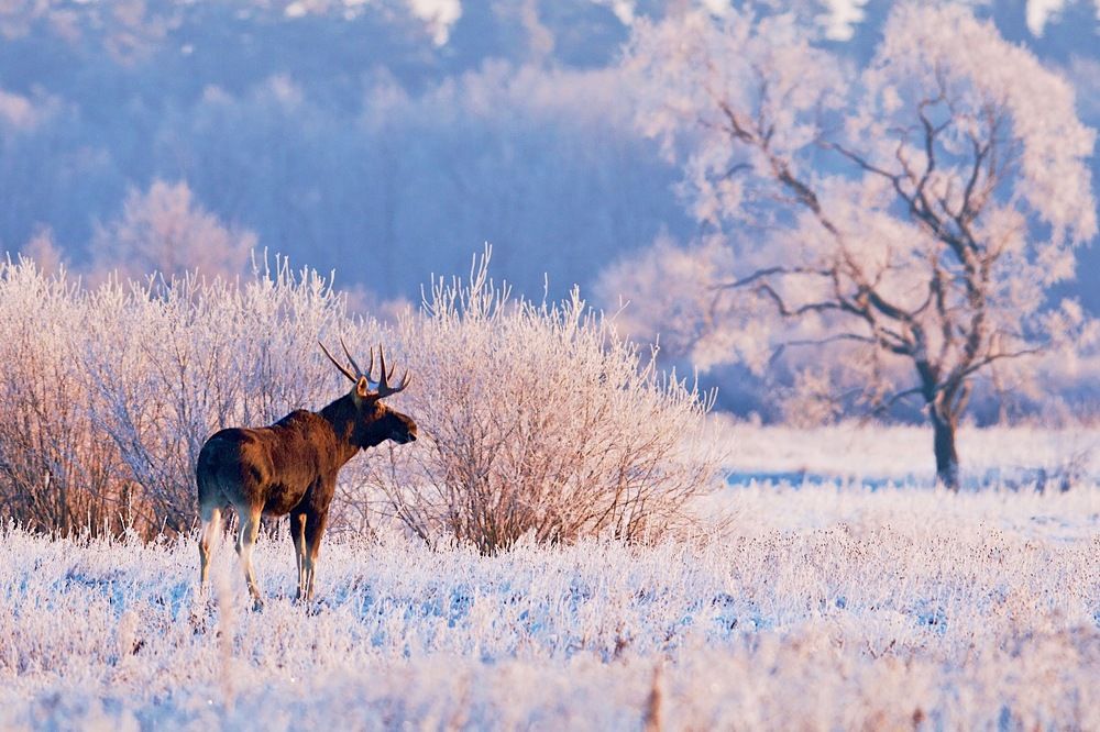 Фотография автора Мазурин Евгений