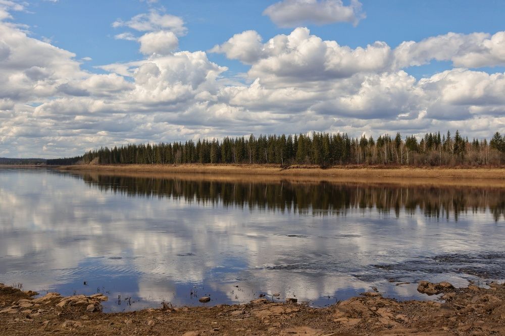 Photograph by Марина Кощеева