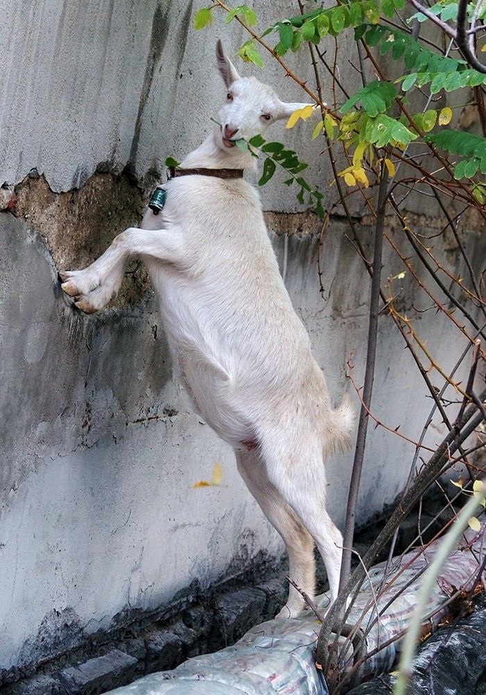 Photograph by Светлана Борозенцева