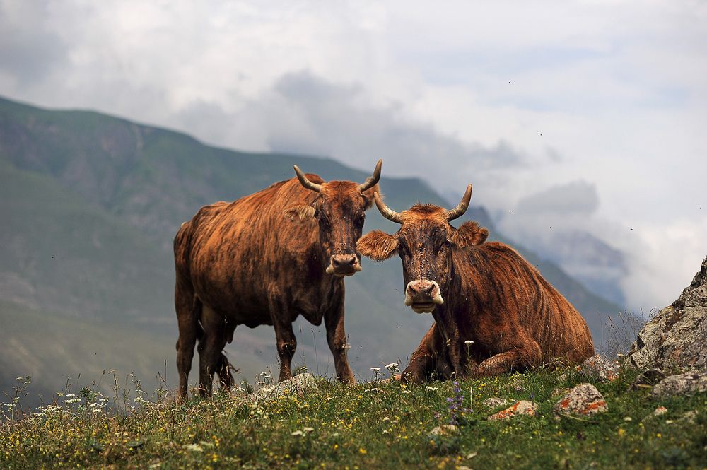 Photograph by Светлана Борозенцева