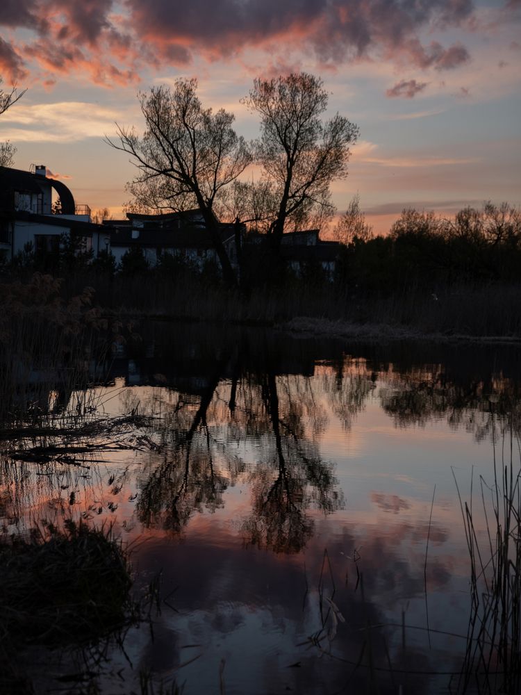 Photograph by Алия Рахимжанова