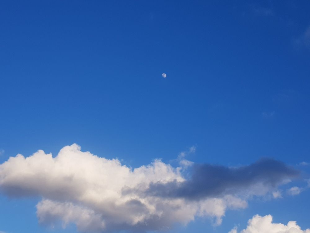 Photograph by Ліана Устимчук