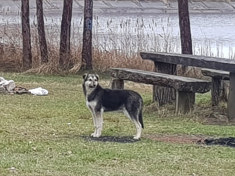 Photograph by Ліана Устимчук