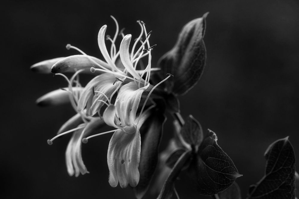 Photograph by Marian Lázaro