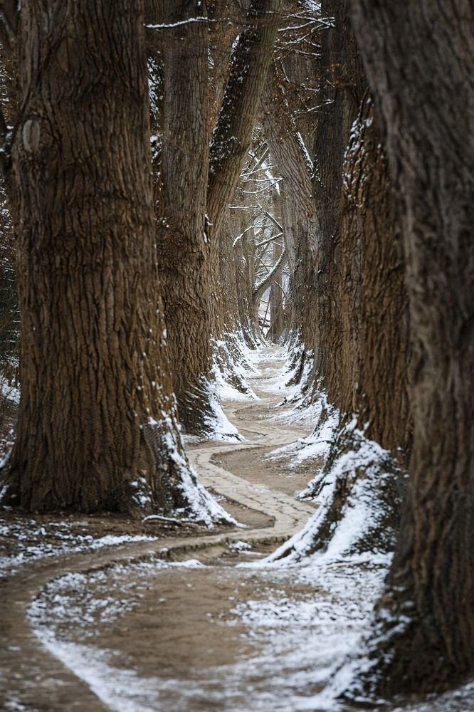 Photograph by Вячеслав Зайц