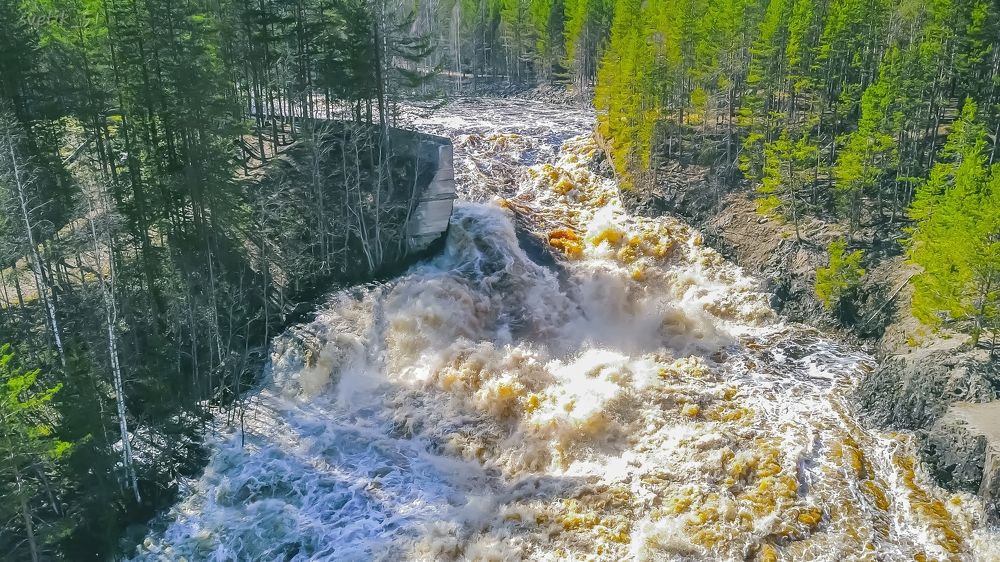 Photograph by Николаева Светлана