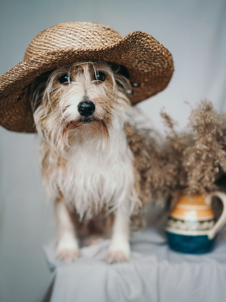 Photograph by Ирина Сидорова