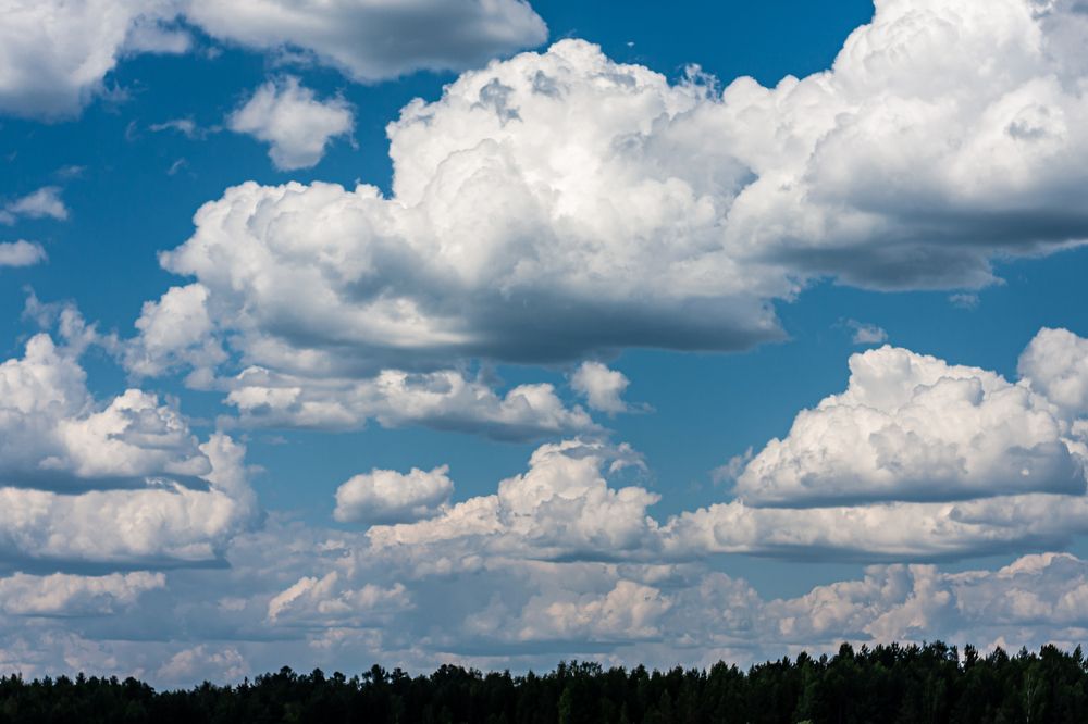 Летающие зефирки