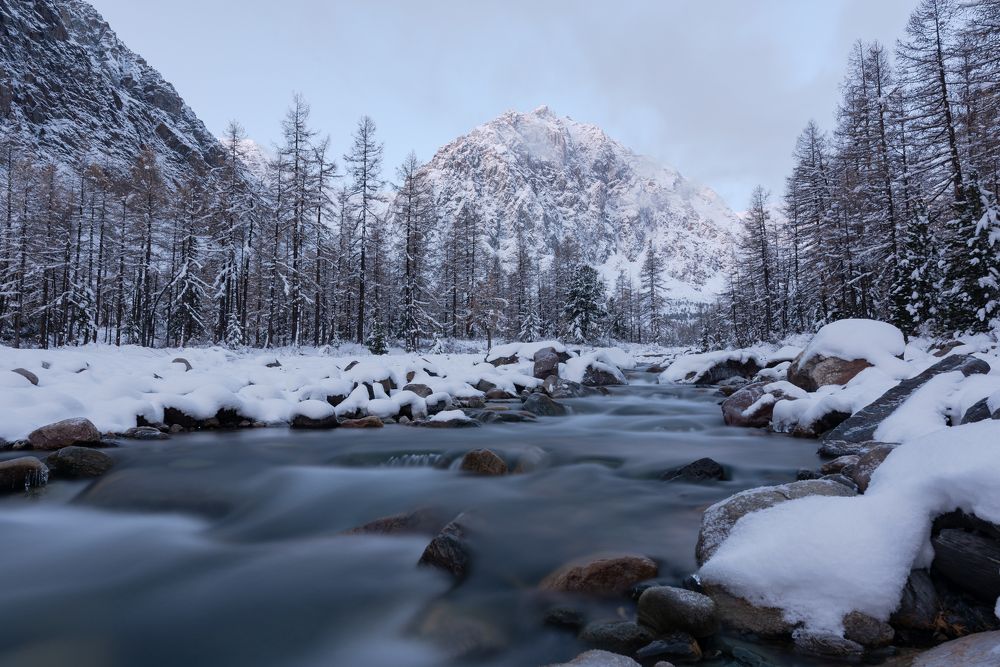 Photograph by Галина