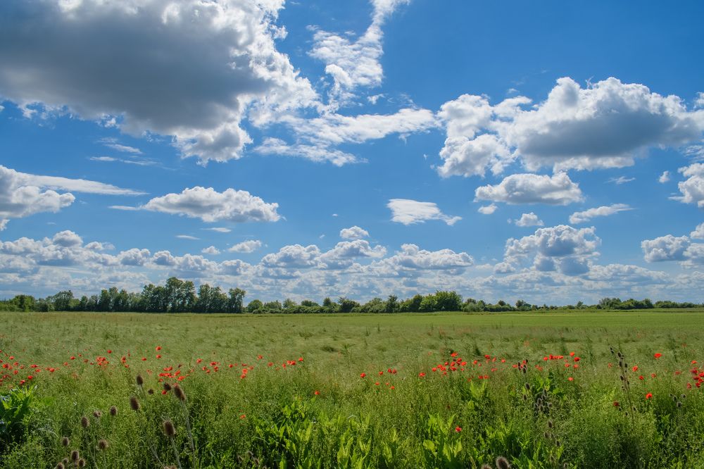 Clouds over meadow filed