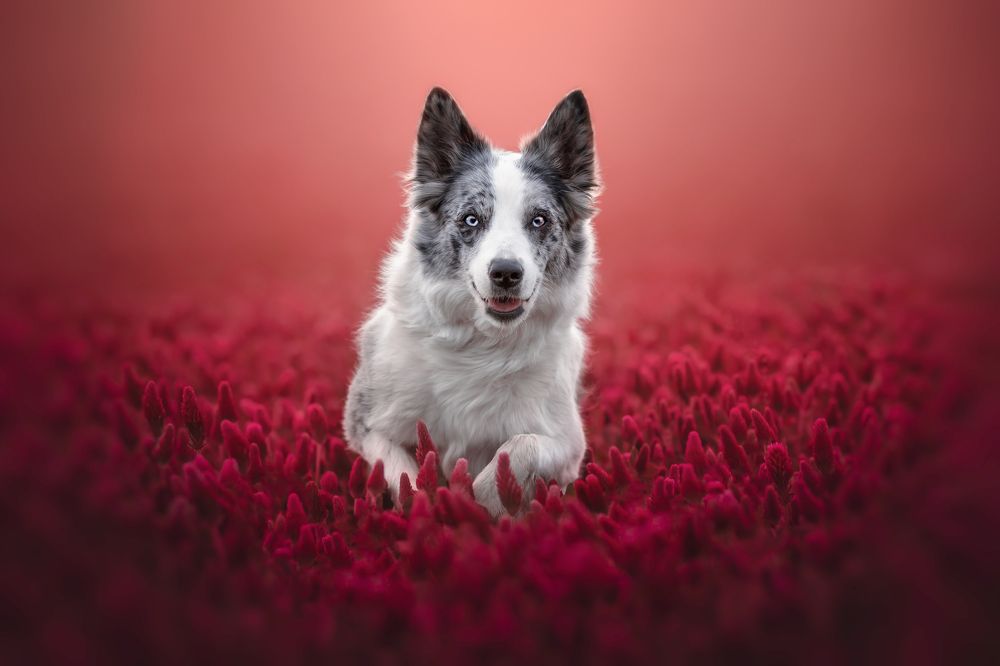 Photograph by Ve Shandor