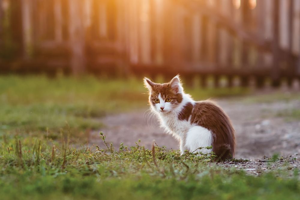 Photograph by Natalia Badyul