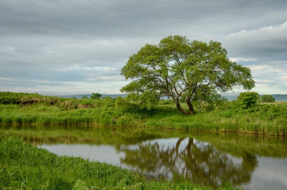 Photograph by Олег Волков