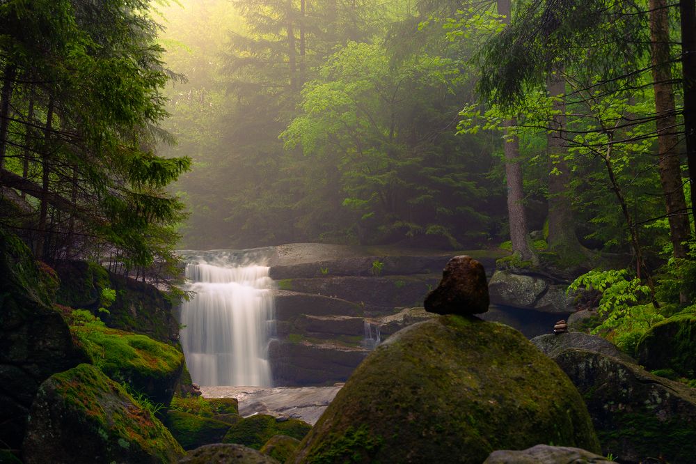 Photograph by Wiktor Kulesa