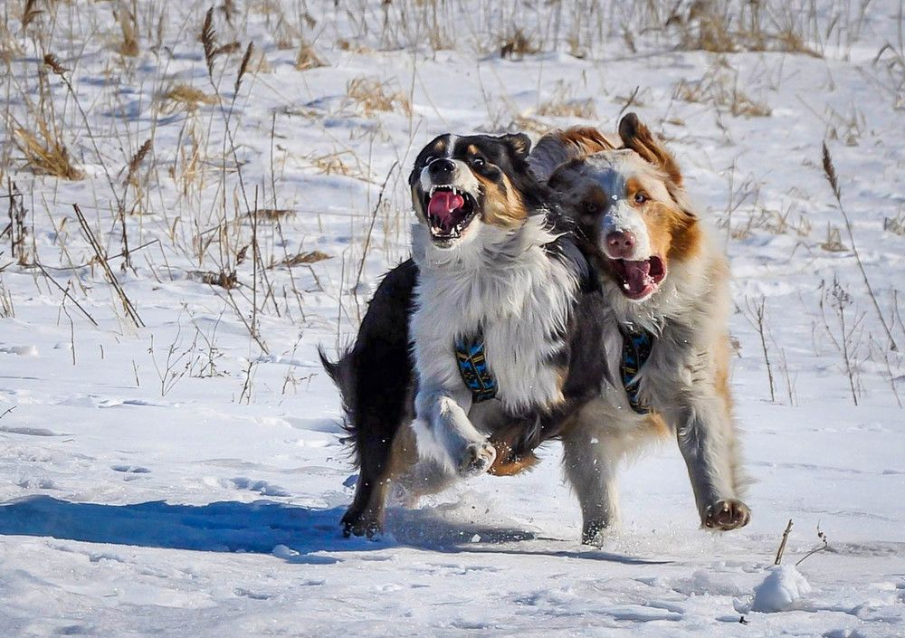 Photograph by Лариса Крышталь