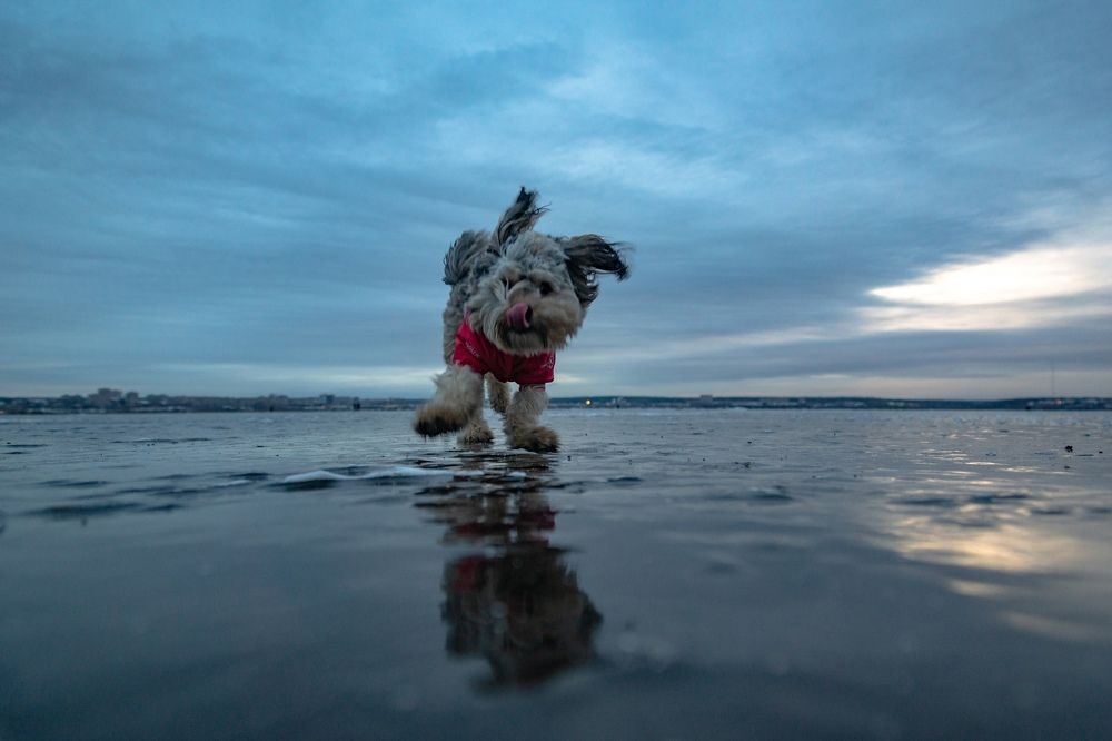 Photograph by Евгений Лысов