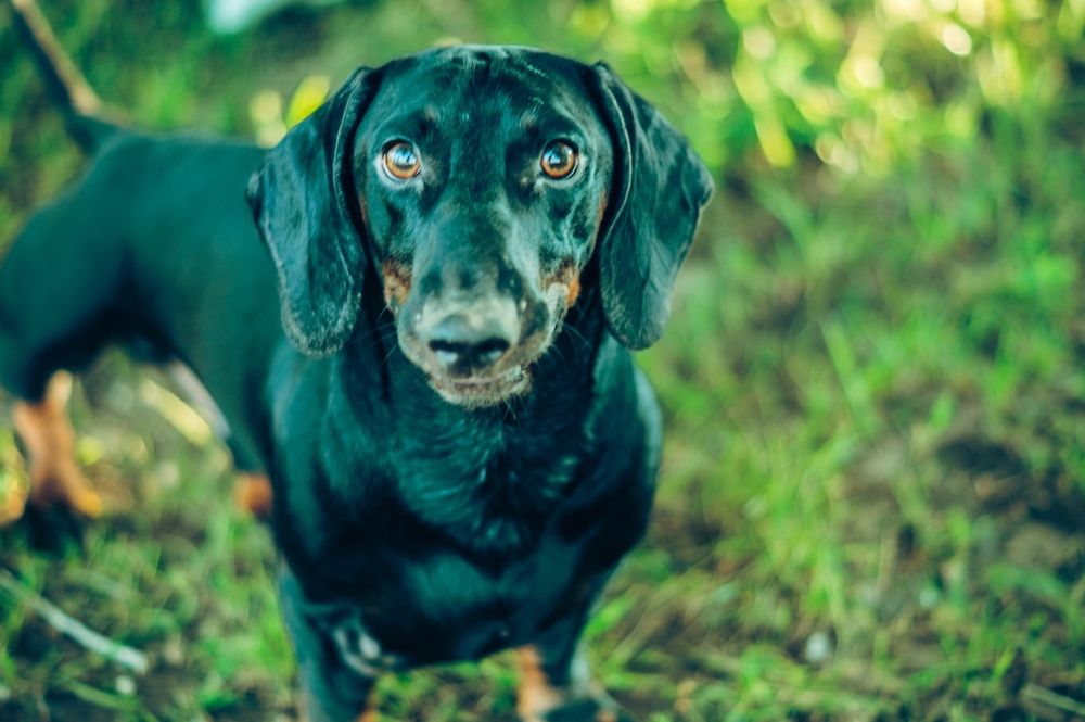 Photograph by Евгений Лысов