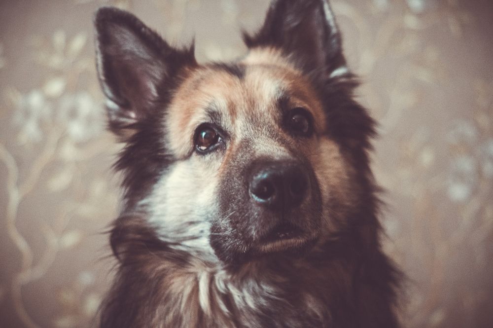 Photograph by Евгений Лысов