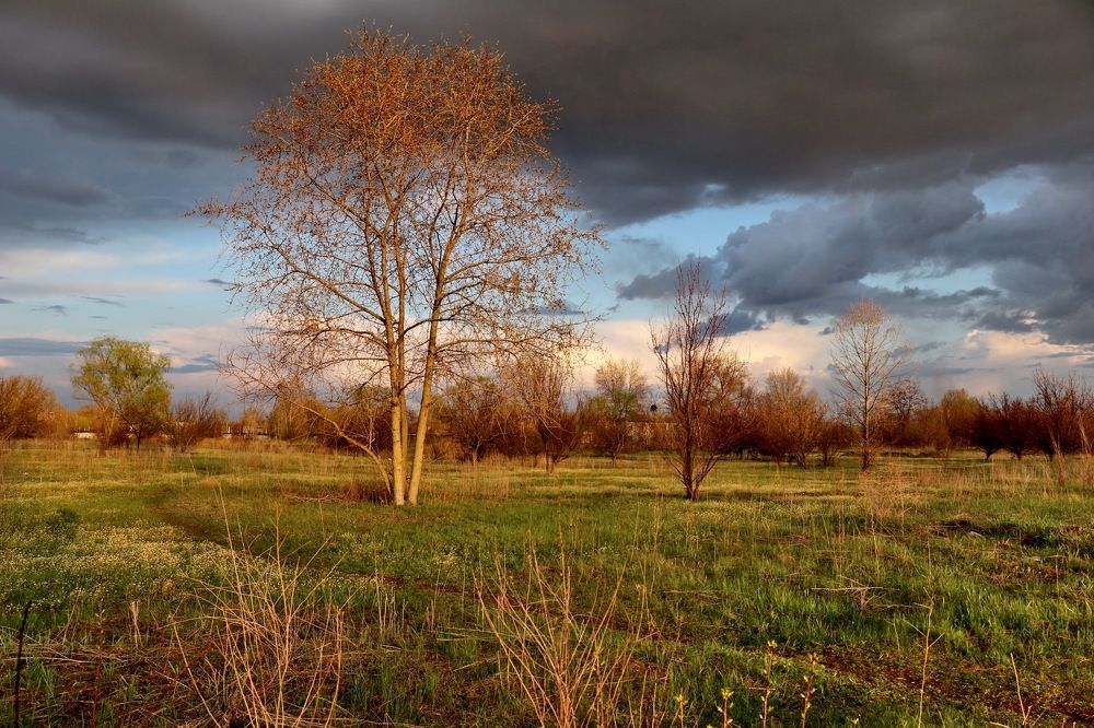 Вечер, перед дождём.