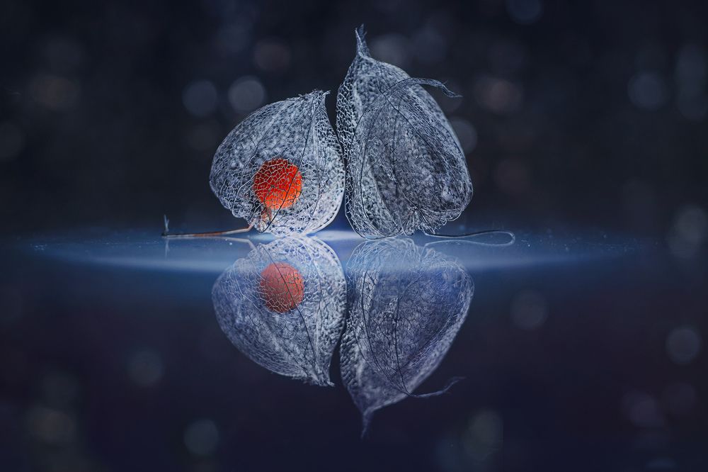 Photograph by Petya Lazarova