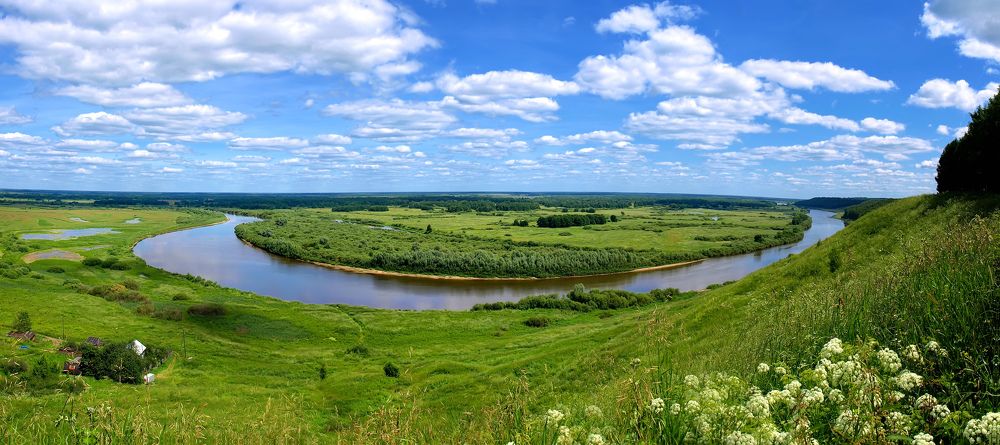 Подкова на счастье