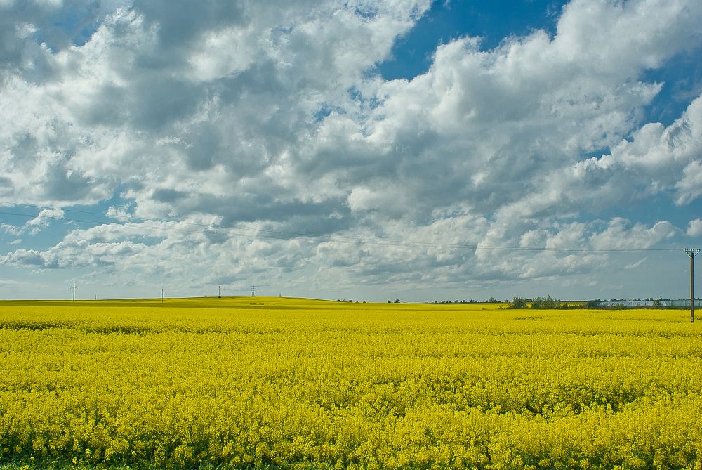 Photograph by Виктория Уварова