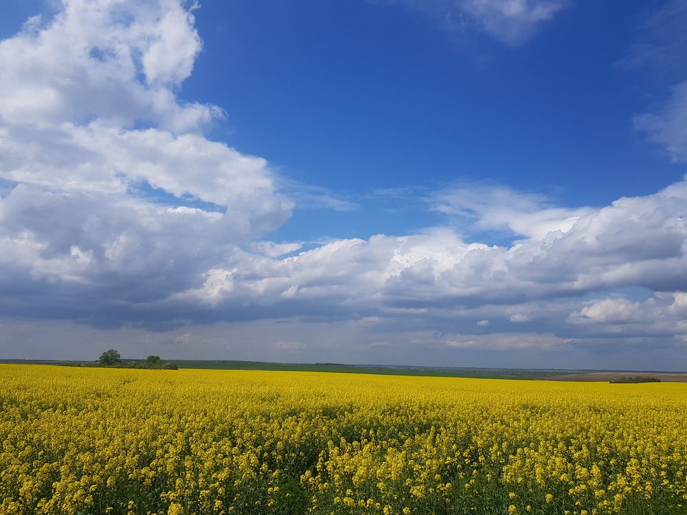 Photograph by Ліана Устимчук