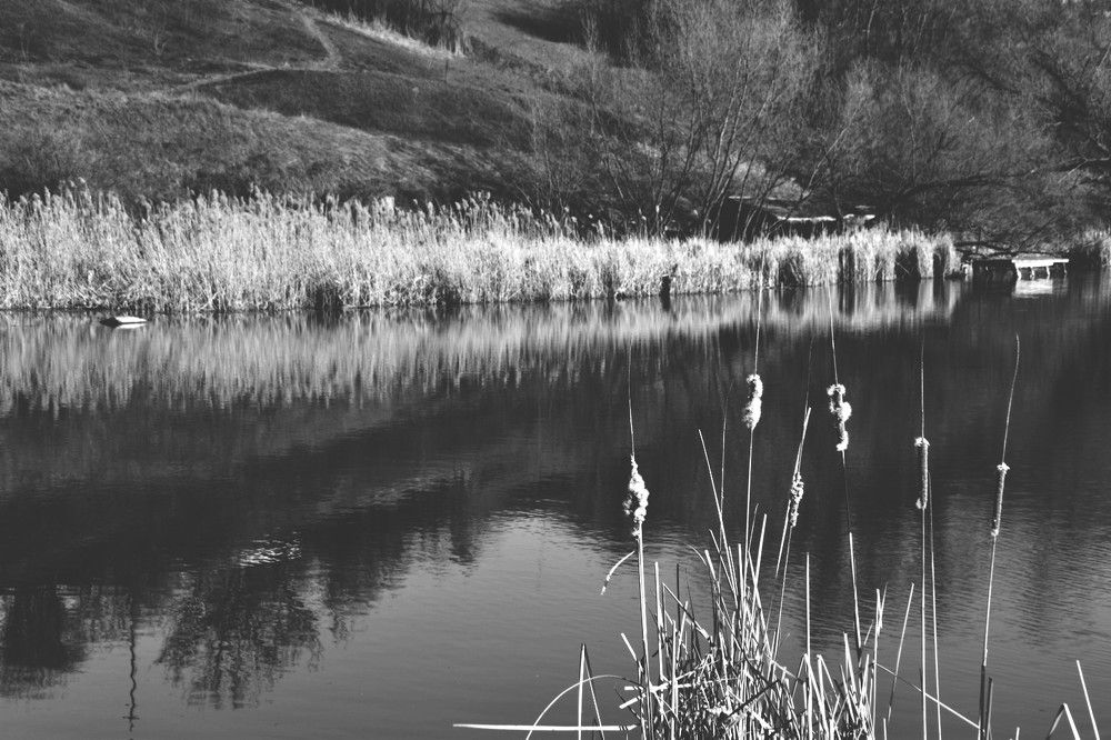 Photograph by Yuliia Opria