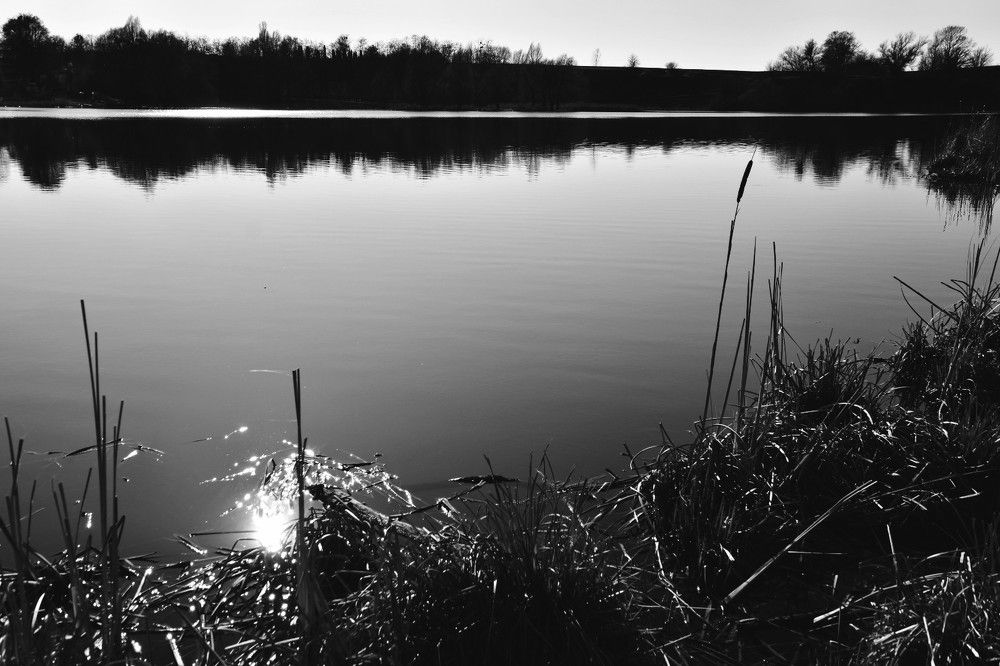 Photograph by Yuliia Opria