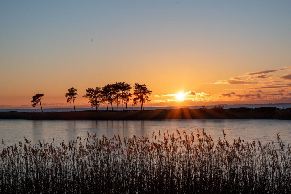 Photograph by Людмила Комарова