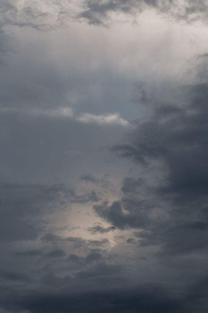 Photograph by Анастасия Петрова