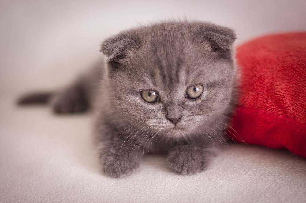 Photograph by Tatiana Kravchuk