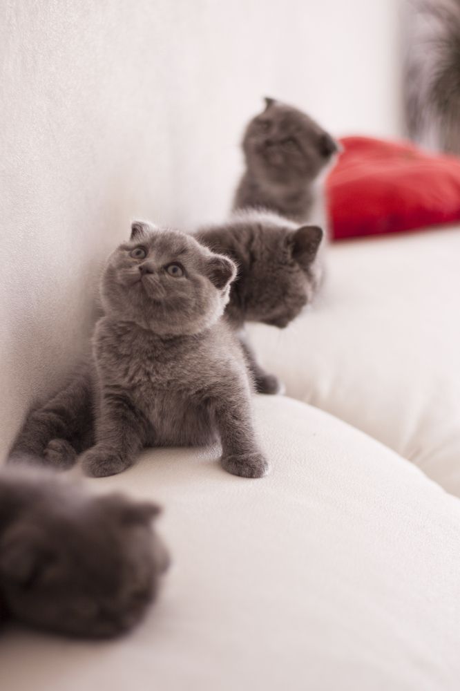 Photograph by Tatiana Kravchuk