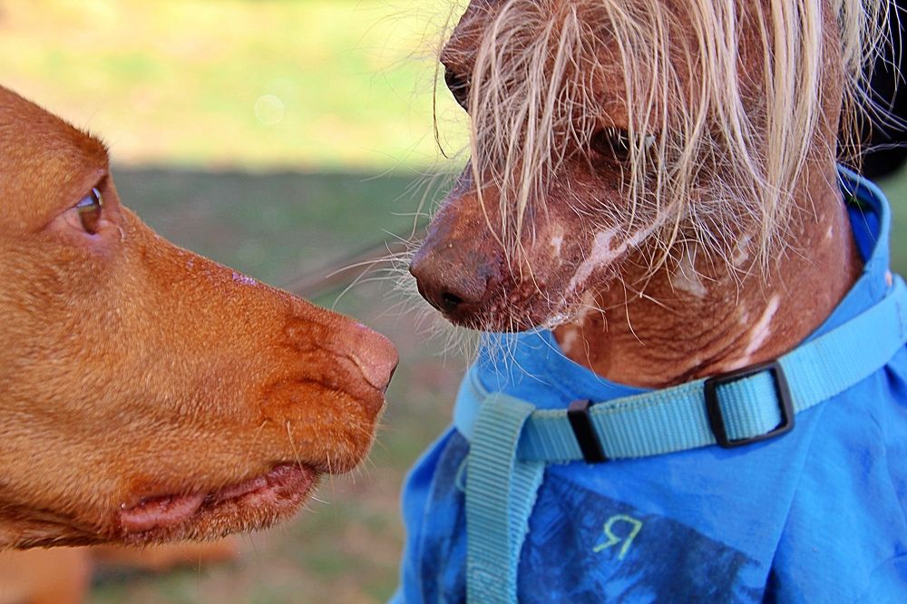 Photograph by Debbie Strauss