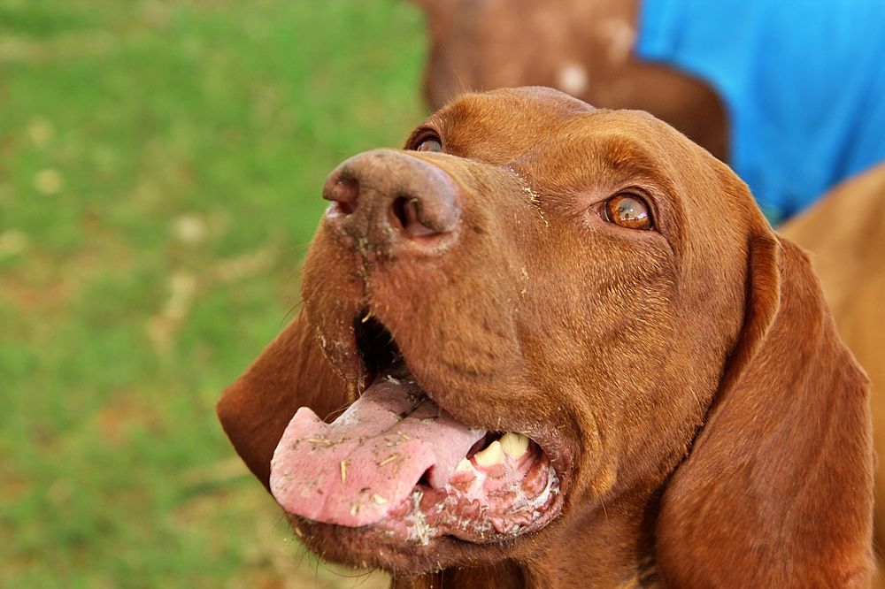 Photograph by Debbie Strauss