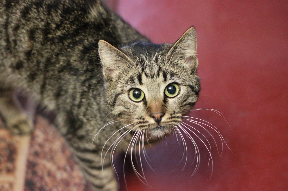 Photograph by Tatiana Kravchuk