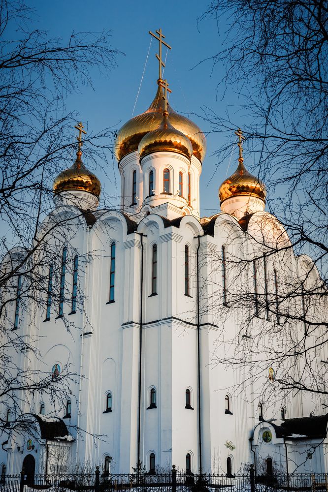 Photograph by Елена Горохова